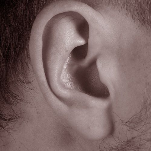 anestesia local - cirugia